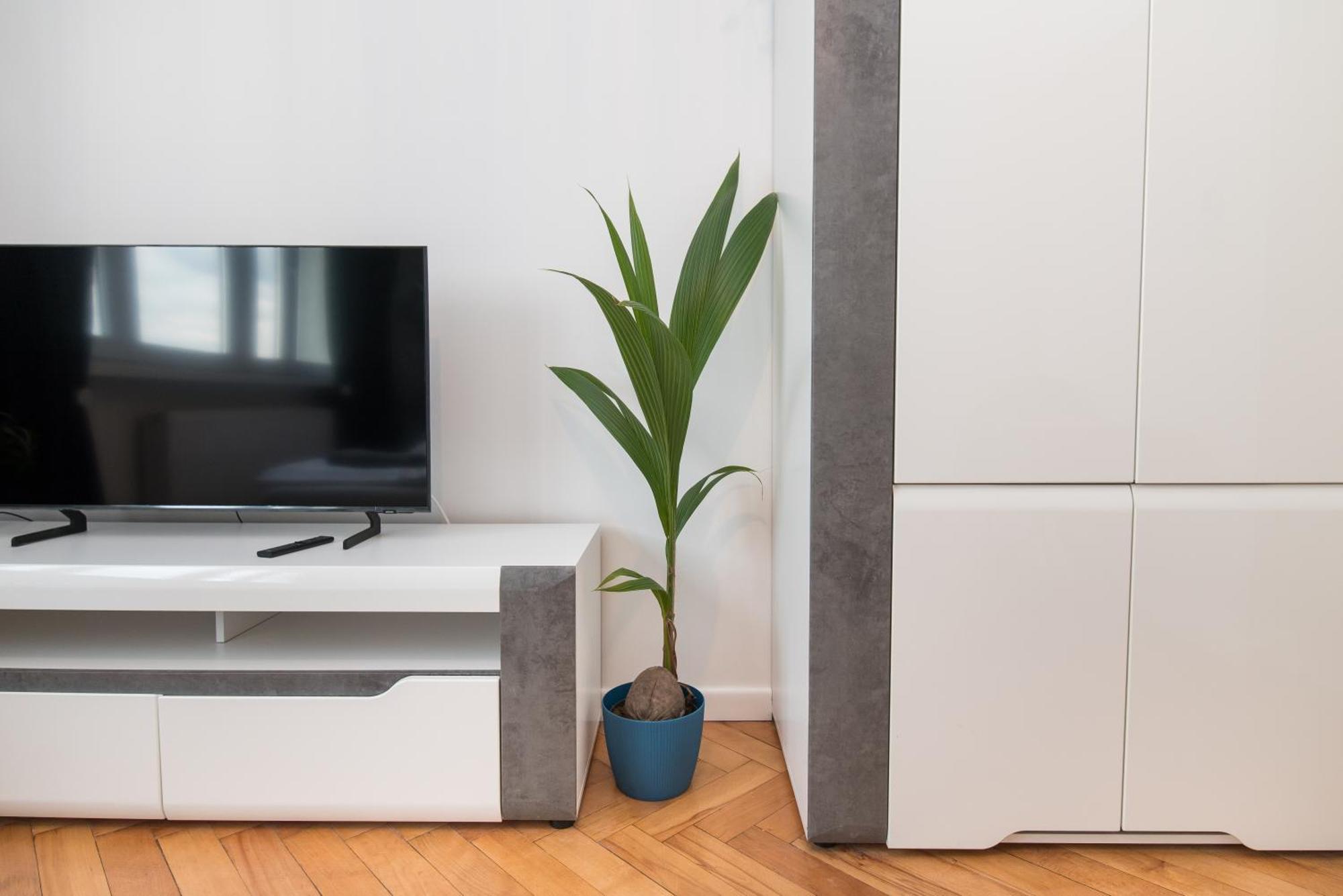 Apartament Dworcowa 24 Гливице Екстериор снимка